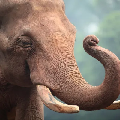 2-звездочные отели в г. Баодин