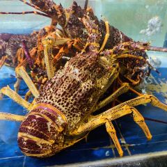 Mayflower Seafood Market User Photo
