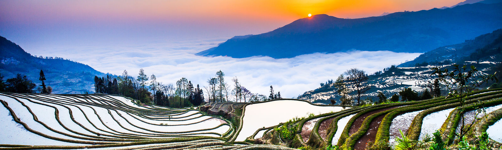 travel
