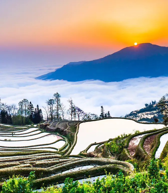 Yuanyang
