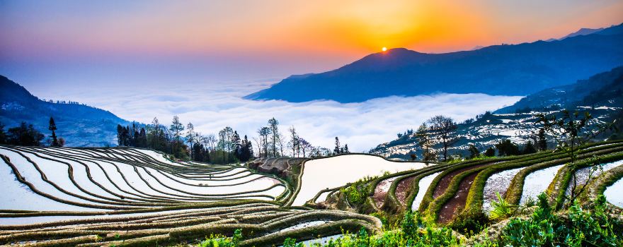 Yuanyang