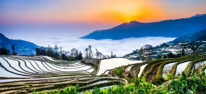 Yuanyang