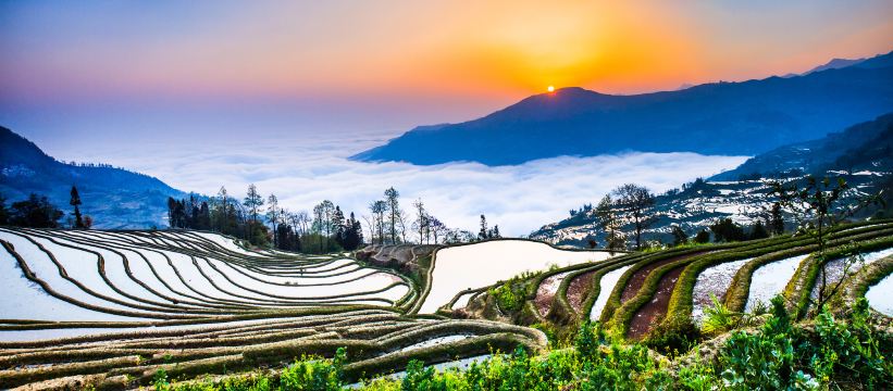 Yuanyang