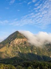 大嶼山郊野公園