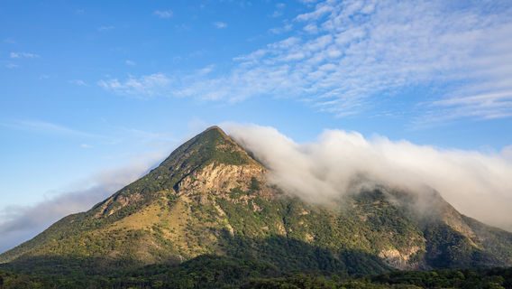 香港