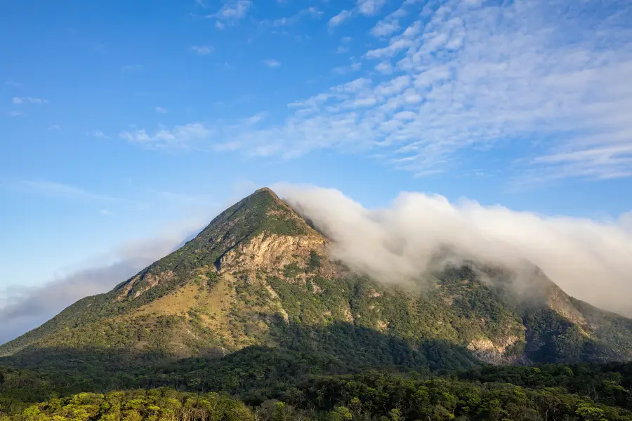 大嶼山郊野公園