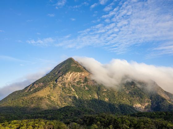 大嶼島