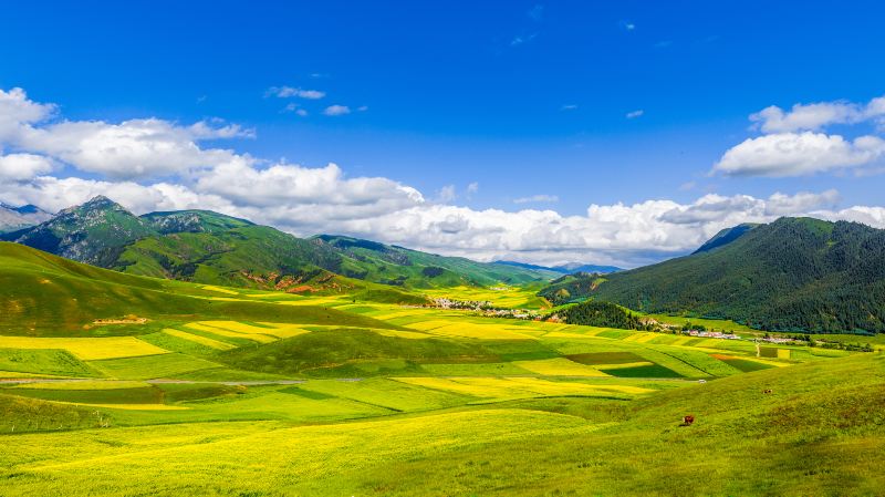 The Qilian Mountain Scenic Area