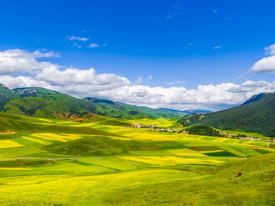 The Qilian Mountain Scenic Area