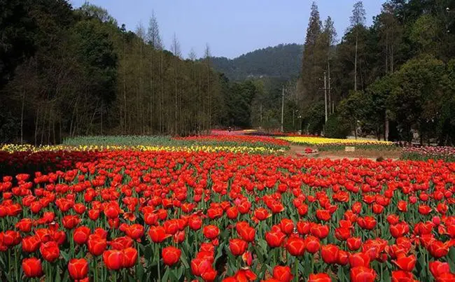 隆中植物園