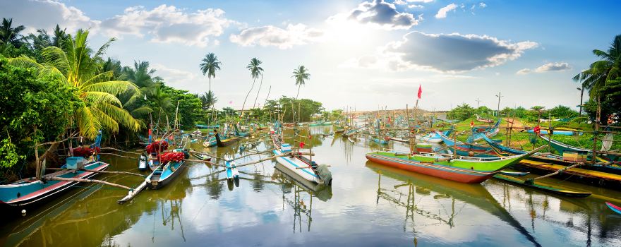 Galle