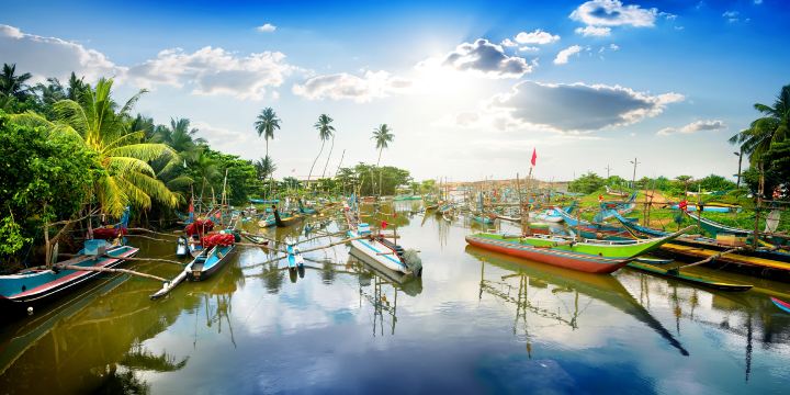 Galle