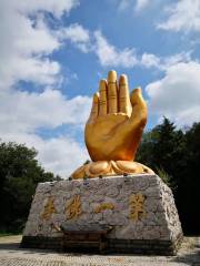First Buddha Hand