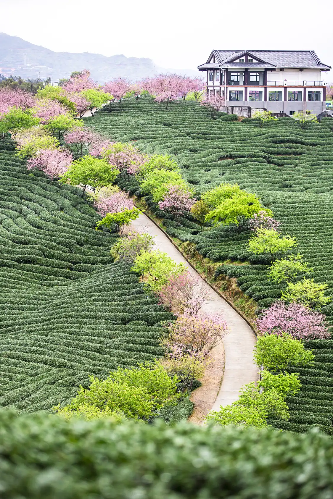 Hotels near Zhangping Yongfu Flower Country