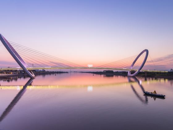 Nanjing Eye Pedestrian Bridge