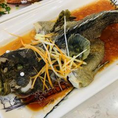 ひとし 本店 User Photo