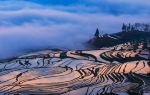 Laohuzui Terraced Field Scenic Area