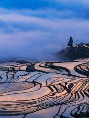 Laohuzui Terraced Field Scenic Area