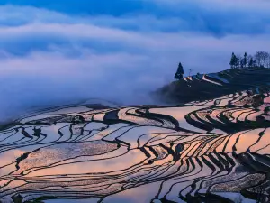 Laohuzui Terraced Field Scenic Area