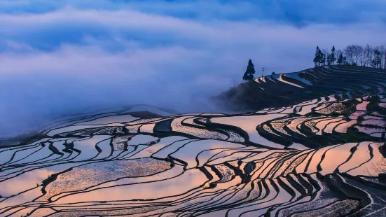 Laohuzui Terraced Field Scenic Area