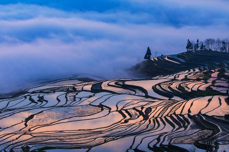 Laohuzui Terraced Field Scenic Area