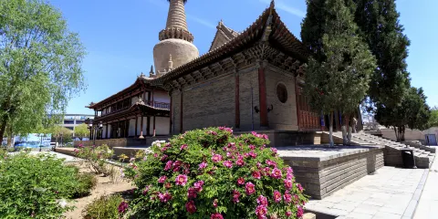 【輕奢小團】張掖七彩丹霞旅遊景區+張掖大佛寺一日遊2-8人小團