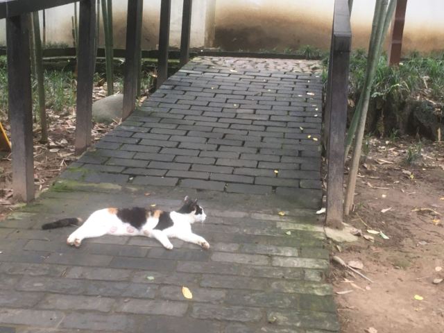 원쥔징 공원