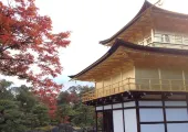 京都旅行におすすめ!