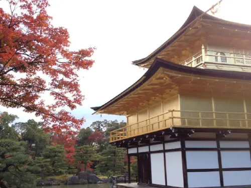 京都旅行におすすめ！