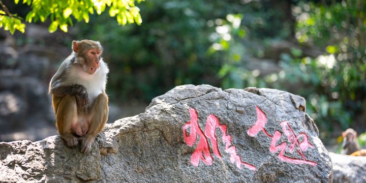 Nanwan Monkey island Eco-tourist Attraction Zone