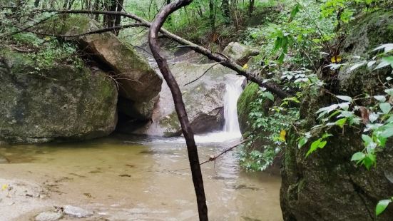 在距離城市百公里範圍內，如果擁有一片森林營造的天然氧吧，一定