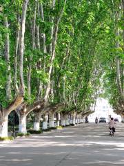 Yangzhou University