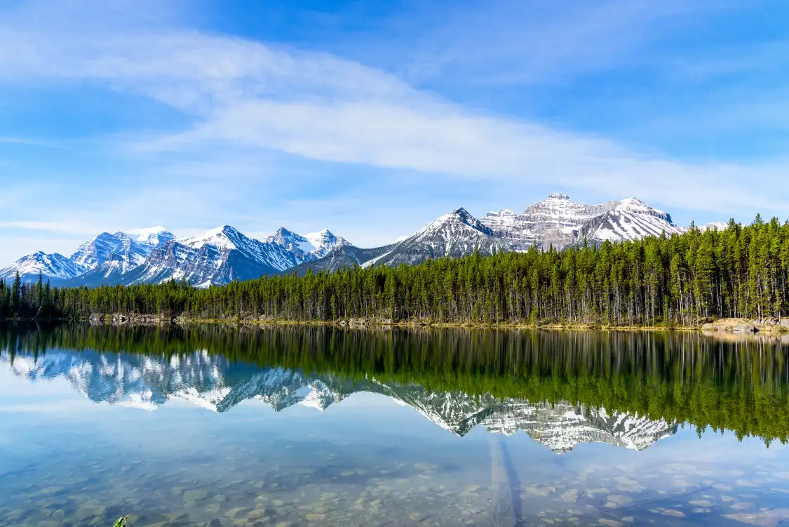Hotels near Herbert Lake