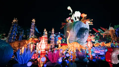 自貢 travel destination