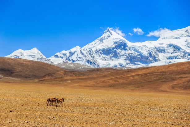Mount Shishapangma