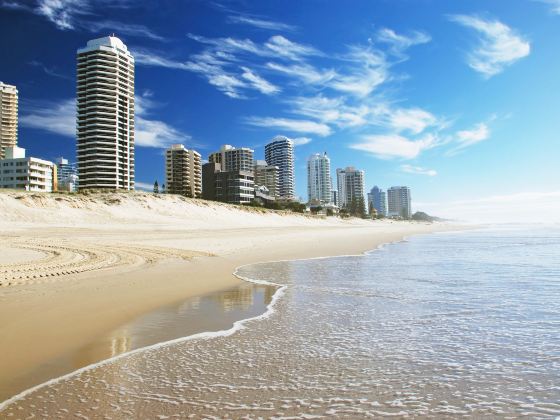 Panda Gold Coast