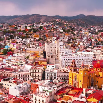 Pet-friendly Hotels in Leon