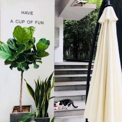 Kota Dine & Coffee User Photo