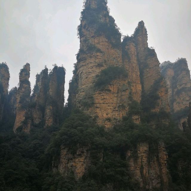 Winter Wonderland in Zhangjiajie