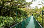 Monteverde Cloud Forest Biological Preserve