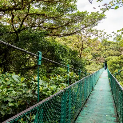 Pet-friendly Hotels in Monteverde