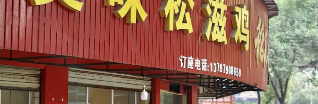 美味松滋鸡