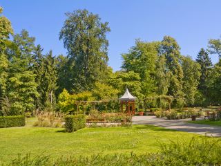 Voli Torino Strasburgo Ryanair