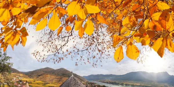Attrazioni per la visione autunnale a Zermatt: le opzioni più popolari
