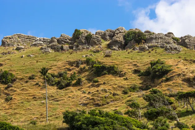 Отзывы об отеле Saibei Station (Xilamuren Grassland Anta Branch)
