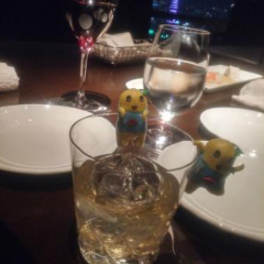 Sky Lounge Stellar Garden 여행 사진