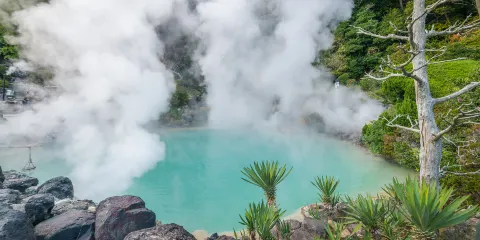 別府地獄之旅巡迴門票小童