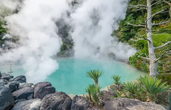 別府地獄之旅巡迴門票小童