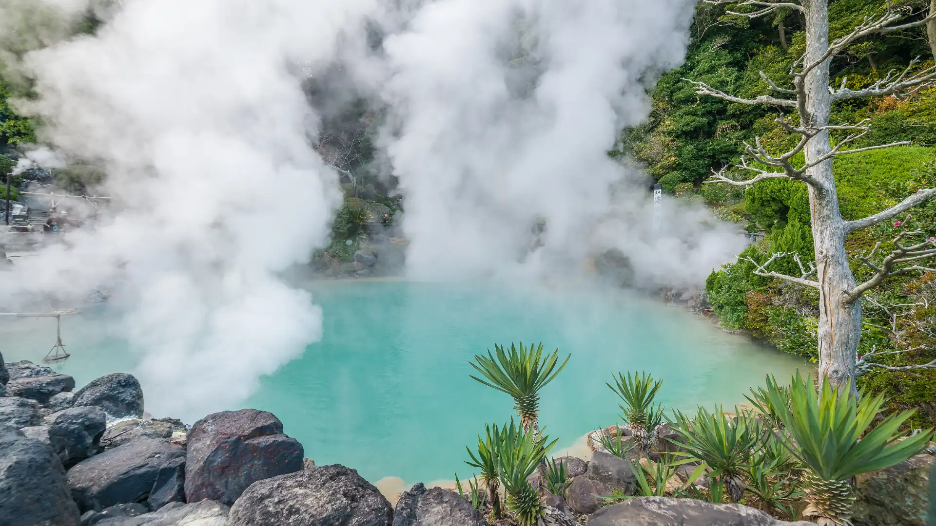 鄰近海地獄的酒店