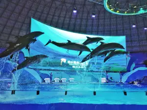 Ocean World-Europark